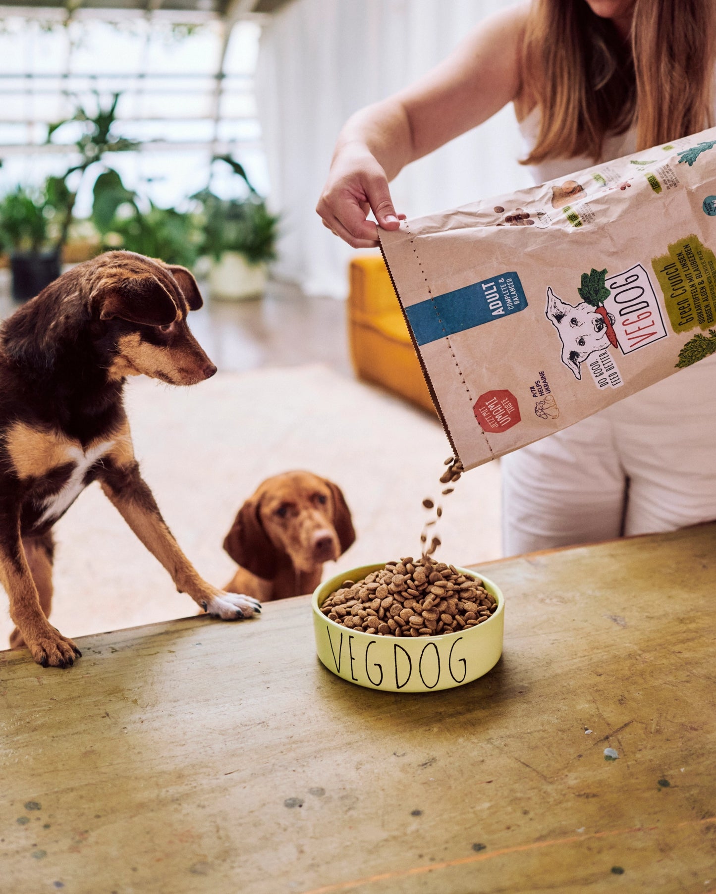 VEGDOG Hundefutter "Green Crunch" mit Süßkartoffel, Linsen, Erbsen, Algen & Blaubeeren - 2kg | vegan