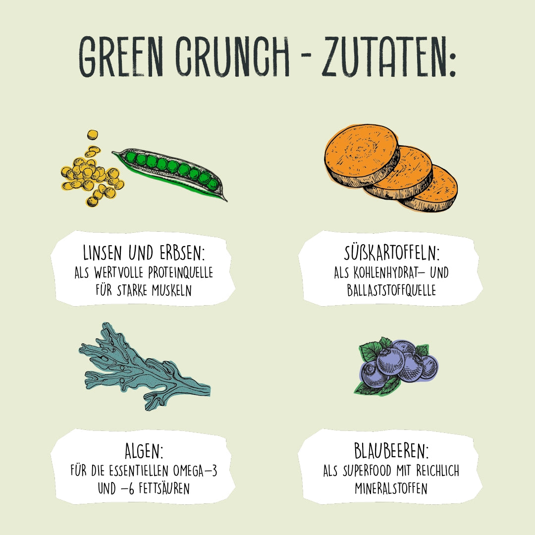 VEGDOG Hundefutter "Green Crunch" mit Süßkartoffel, Linsen, Erbsen, Algen & Blaubeeren - 2kg | vegan