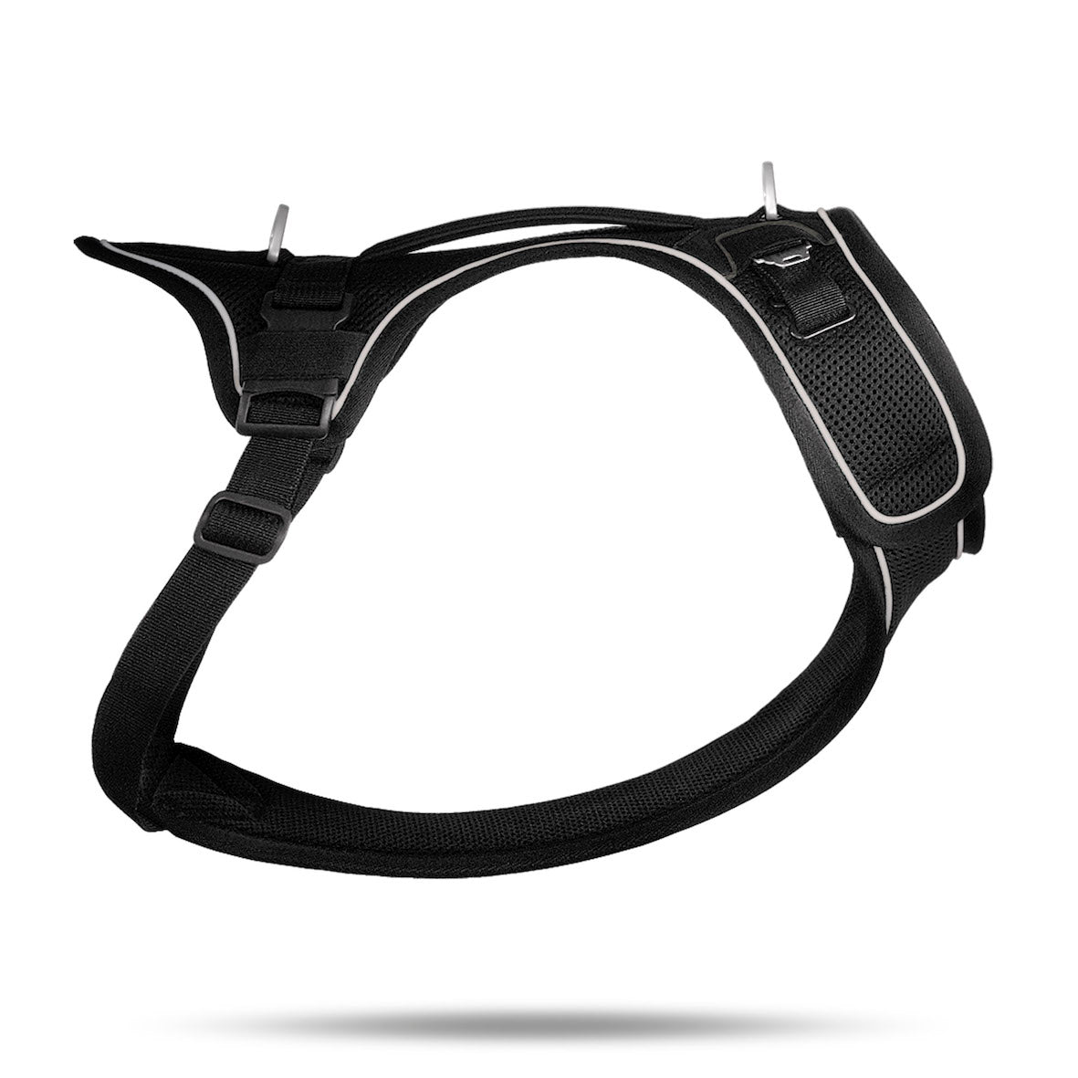 CURLI Geschirr BELKA Harness