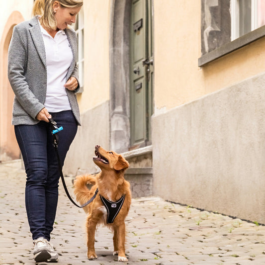 CURLI dreifach verstellbare Leine BE FLEXIBLE aus Nylon in schwarz | 200cm