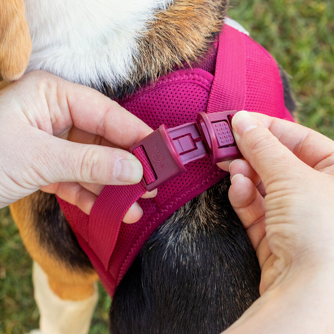 CURLI leichtes Brustgeschirr VEST HARNESS aus Air-Mesh mit CURLI CLASP SCHNALLE | verschiedene Farben