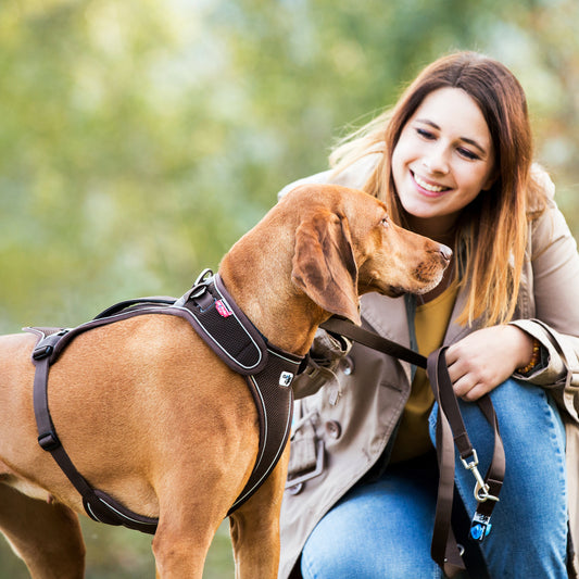 CURLI Geschirr BELKA Harness