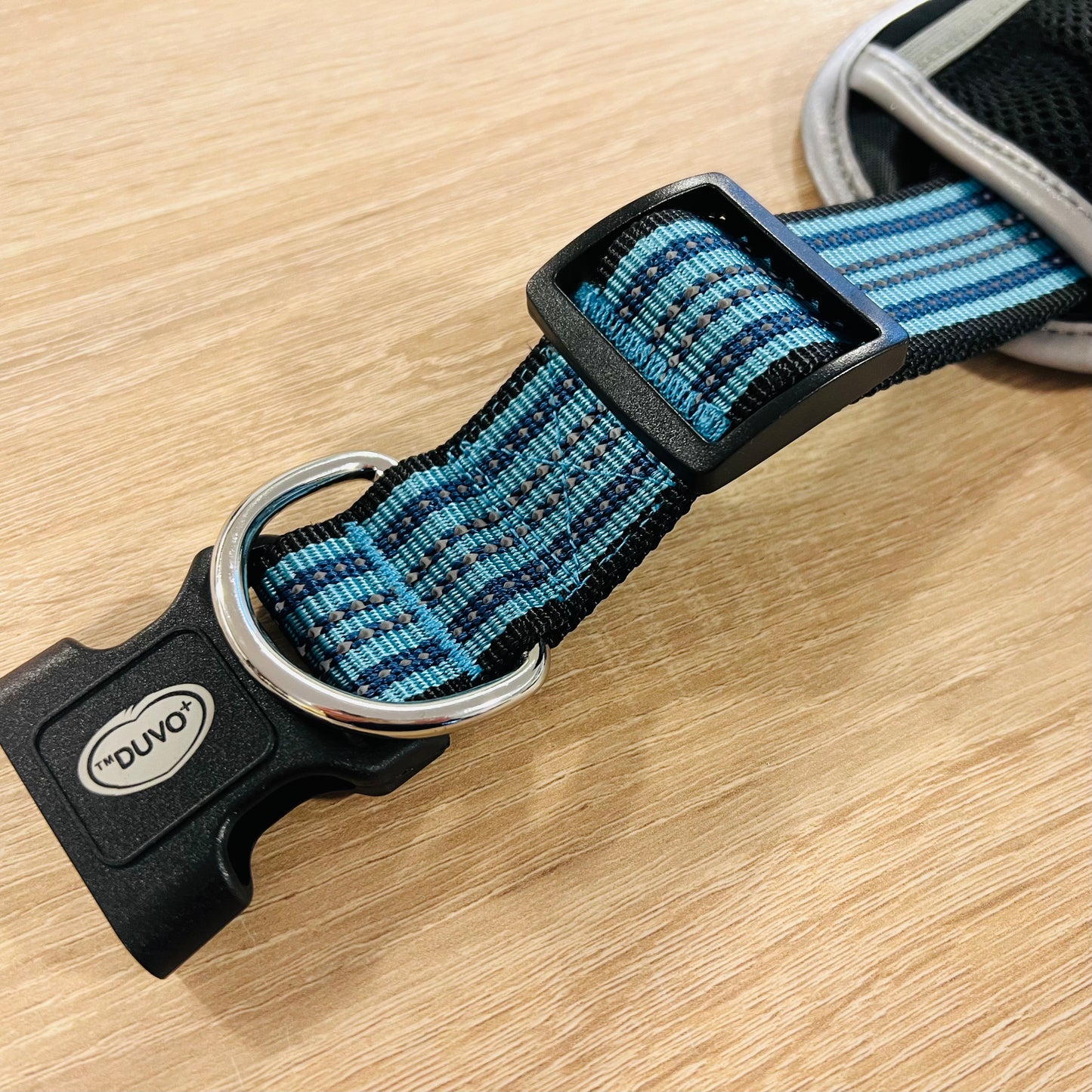 DUVO+ Sportgurt mit verstellbarer Leine / Sports Belt & Line aus Nylon & Neopren | schwarz-blau-türkis
