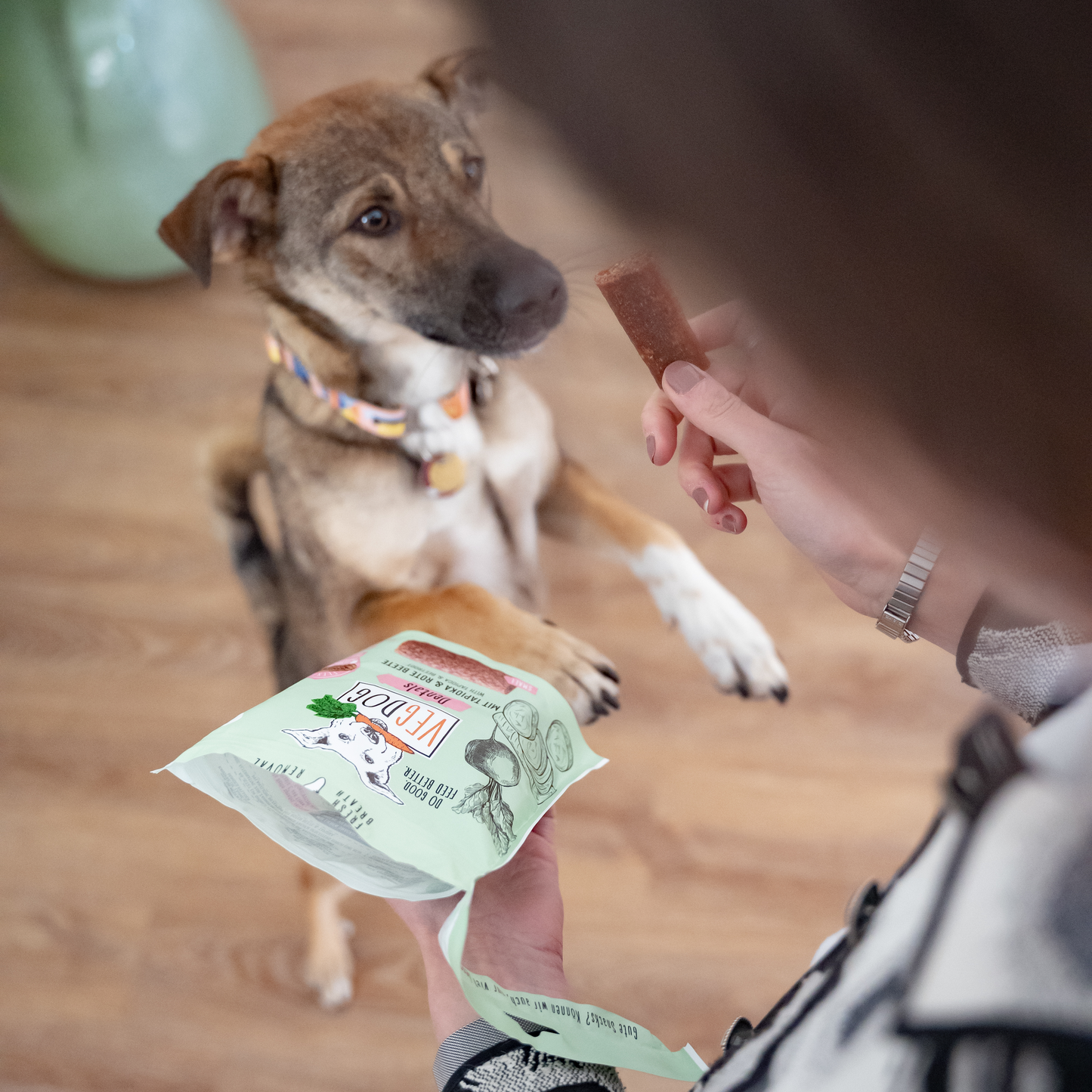 VEGDOG Hundekausnack "Dentals small" mit Tapioka & rote Beete - 120g | vegan