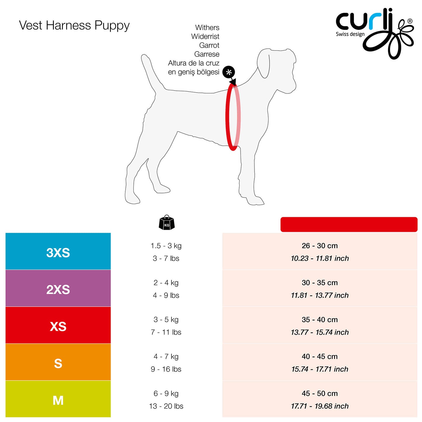 CURLI Set VEST Step-in Brustgeschirr aus Air-Mesh & BASIC Leine | Puppy Set