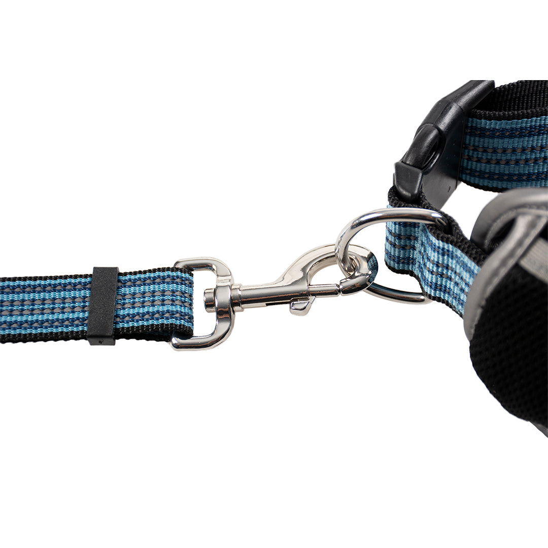 DUVO+ Sportgurt mit verstellbarer Leine / Sports Belt & Line aus Nylon & Neopren | schwarz-blau-türkis