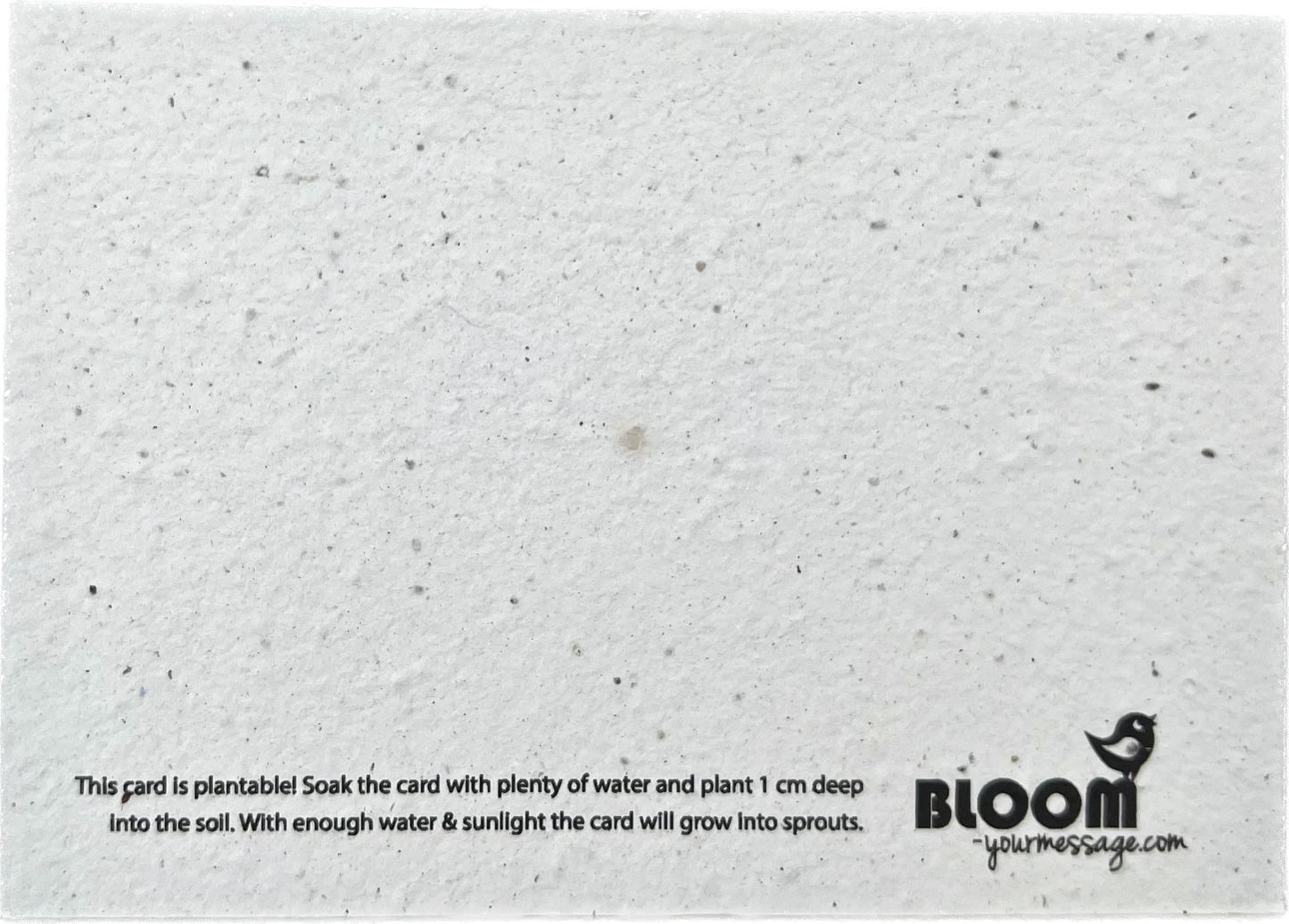 BLOOM YOUR MESSAGE Saatgutkarte "Let it grow!" mit Weihnachtsbaum Motiv | 100% recyceltes Material