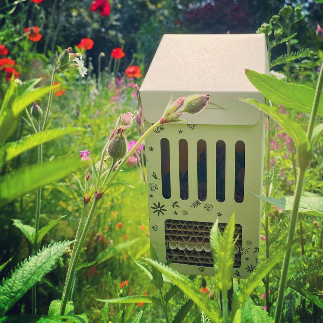 BLOOM YOUR MESSAGE Bienenhaus / Bienenhotel | Do it yourself Bausatz | 100% recycelte Materialien