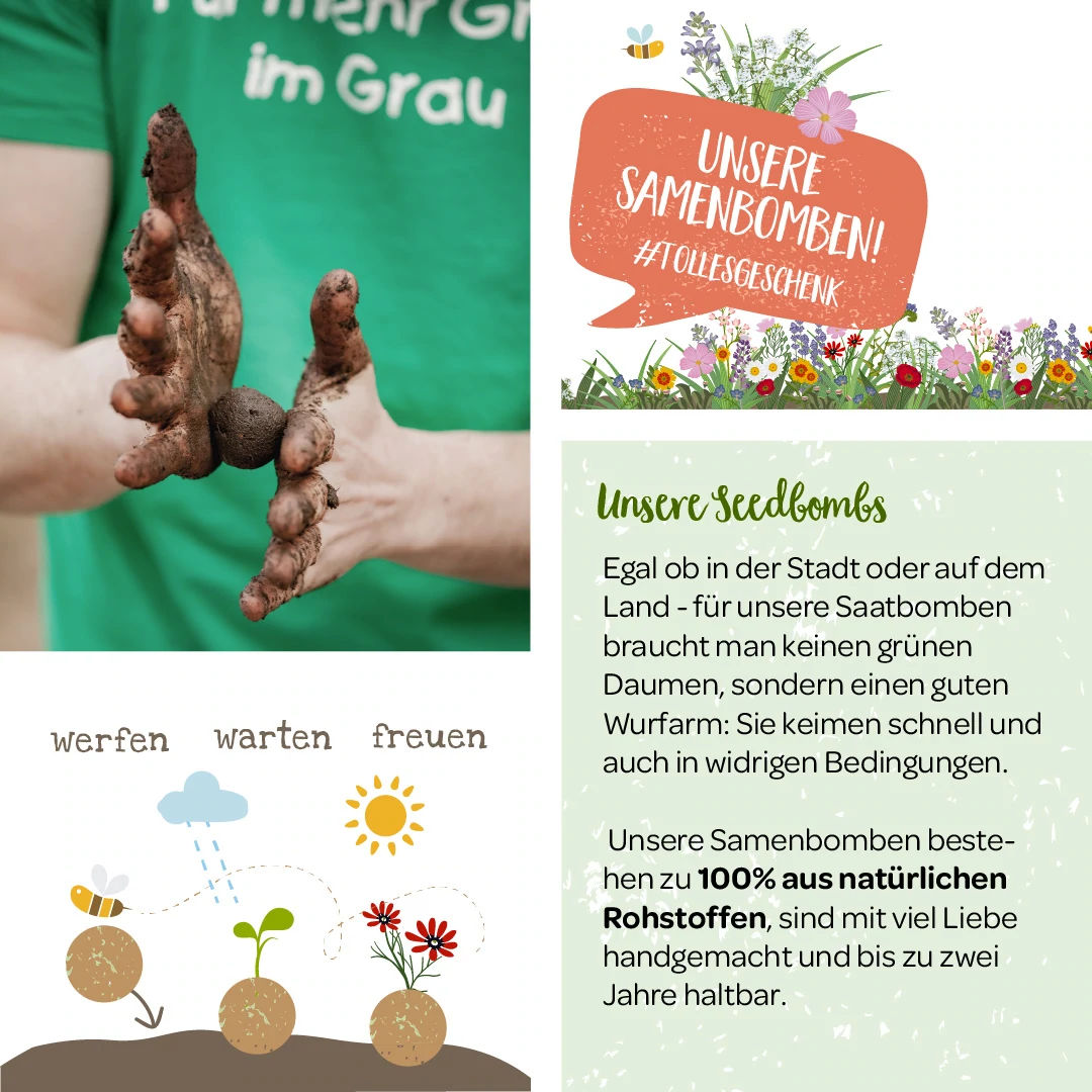 DIE STADTGÄRTNER handgemachte Saatbomben | Seedbombs | nachhaltiges Geschenk | 100% natürliche Rohstoffe | Wildblumen im Würfel |1 Stück