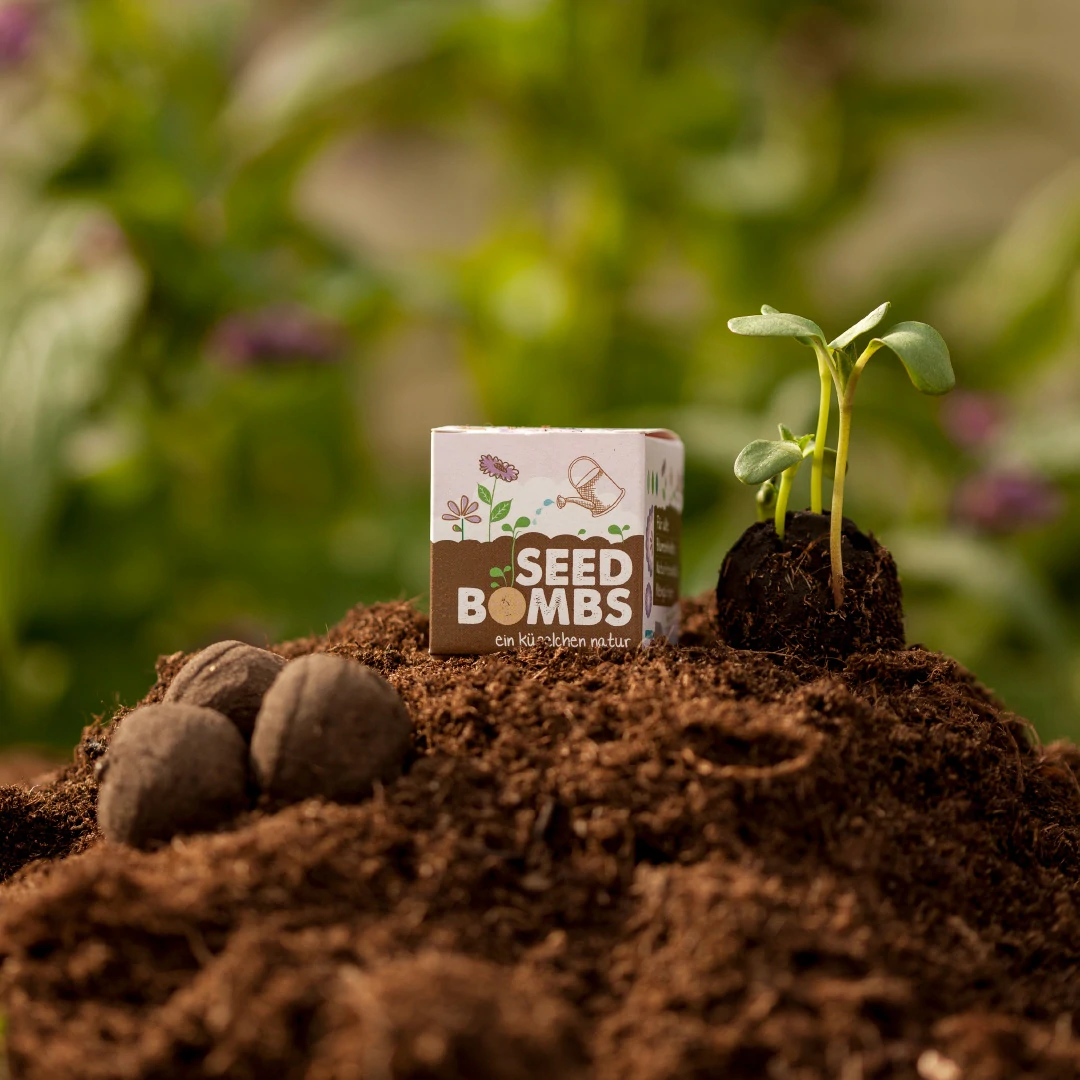 DIE STADTGÄRTNER handgemachte Saatbomben | Seedbombs | nachhaltiges Geschenk | 100% natürliche Rohstoffe | Wildblumen im Würfel |1 Stück