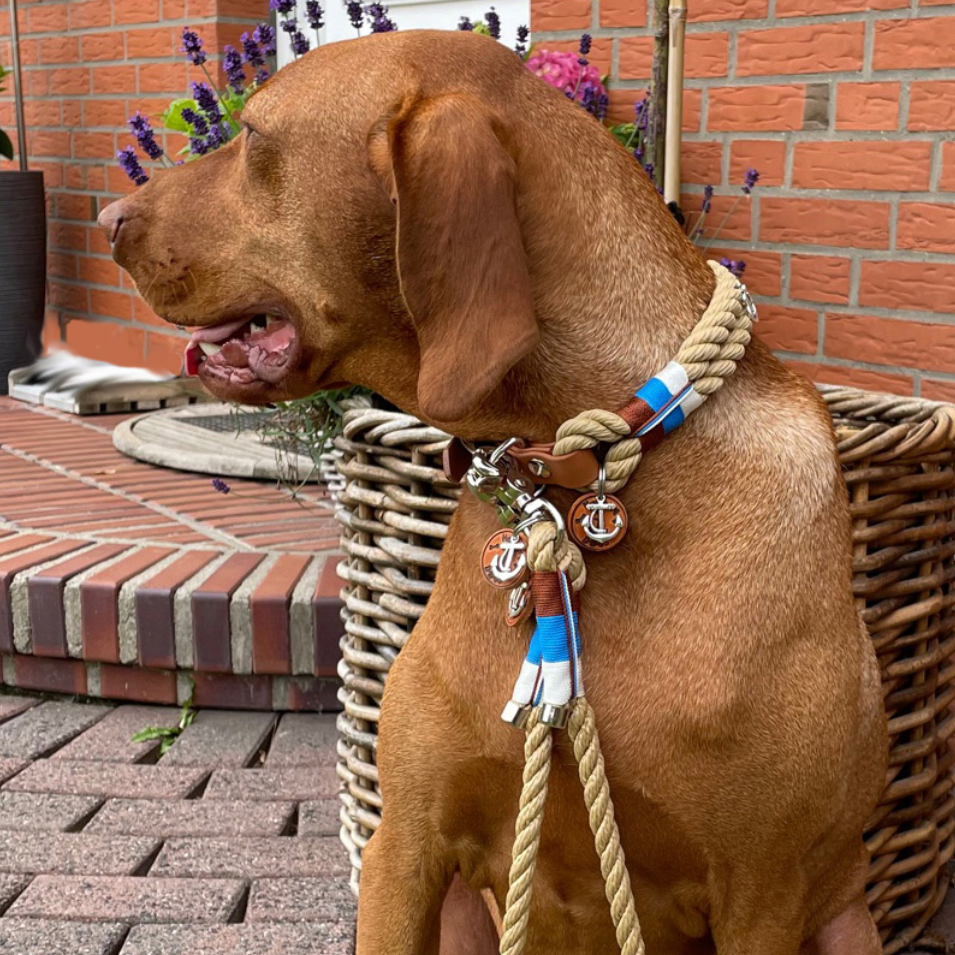 HAMBURG DOGS Handgefertigte Führleine für Hunde | Bootsmann Sylt EDITION Captain | Tau 6mm, 8mm & 10mm | NEUES Design
