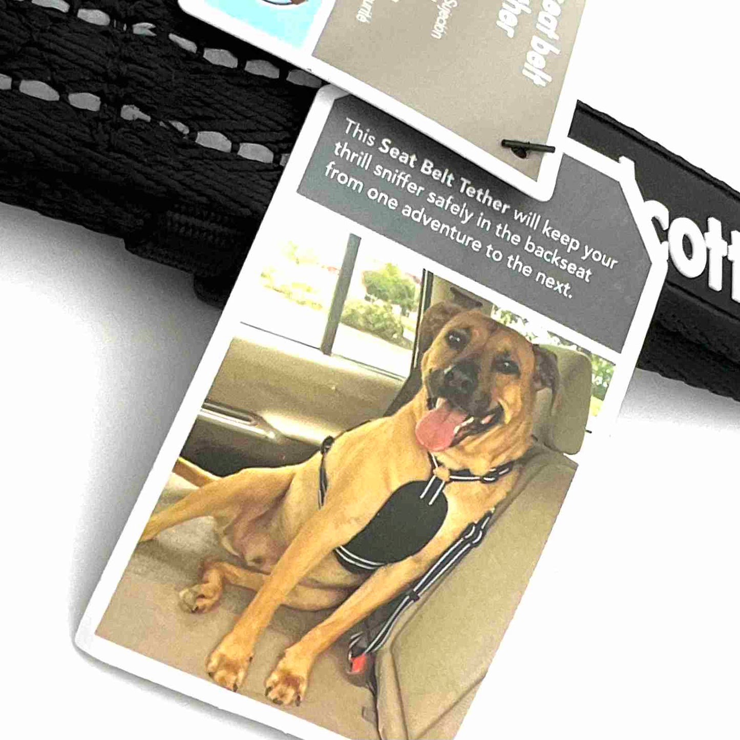 ALCOTT Auto Sicherheitsgurt für Hunde | schwarz