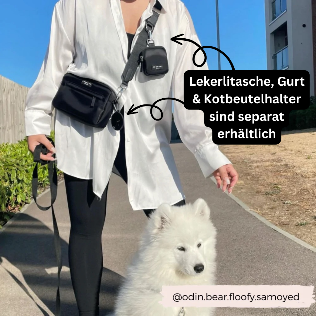 COCOPUP LONDON Dog Walking Bag / Gassitasche KLEIN | schwarz