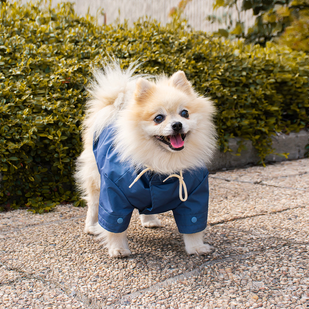 DUVO+ Regenmantel mit Kapuze PARKA für Hunde | wind- & wasserdicht | blau