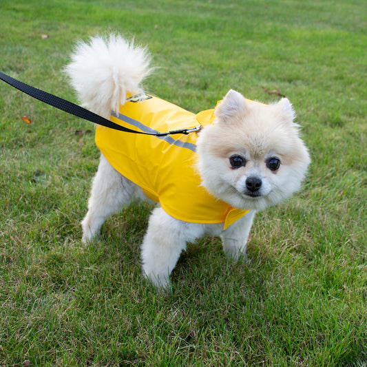 DUVO+ refelktierender Regenmantel für Hunde | wind- & wasserdicht | gelb