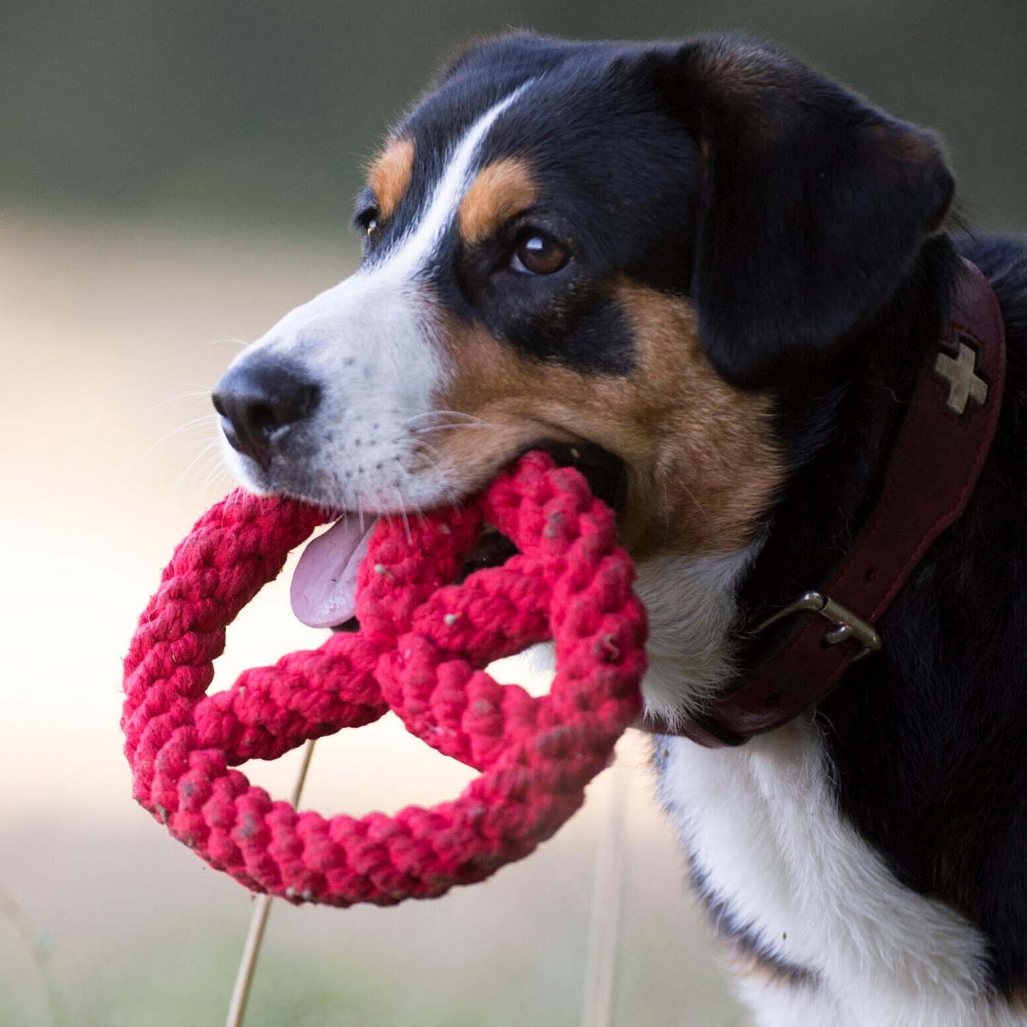 LABONI Paula & Paulchen Peace - Kult-Spielzeug für Hunde | zahnpflegendes Baumwolltau | 17cm