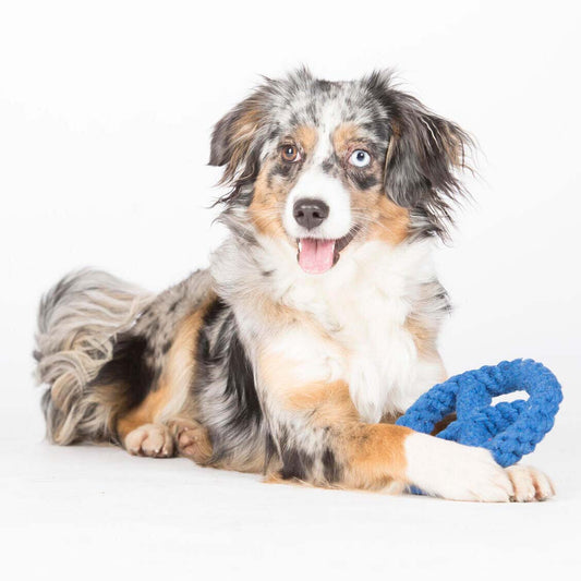 LABONI Paula & Paulchen Peace - Kult-Spielzeug für Hunde | zahnpflegendes Baumwolltau | 17cm