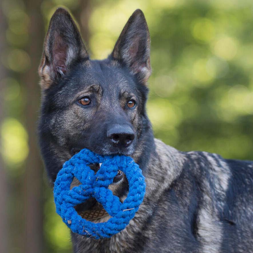 LABONI Paula & Paulchen Peace - Kult-Spielzeug für Hunde | zahnpflegendes Baumwolltau | 17cm