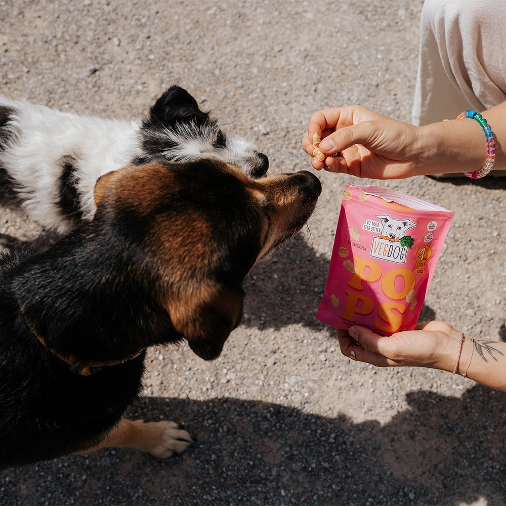 VEGDOG Hundeleckerlies "POPS" aus Kartoffeln im 20g Beutel | vegan (Kopie)