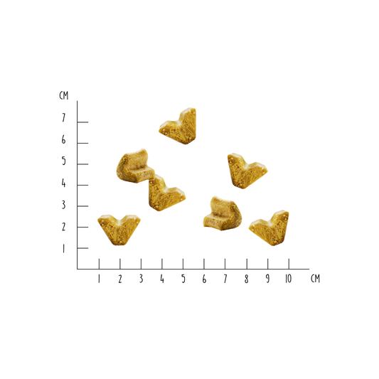 VEGDOG Hundetrainingssnack "VEGGIES immune" mit Favabohne, Sanddorn & Kurkuma - 125g | vegan