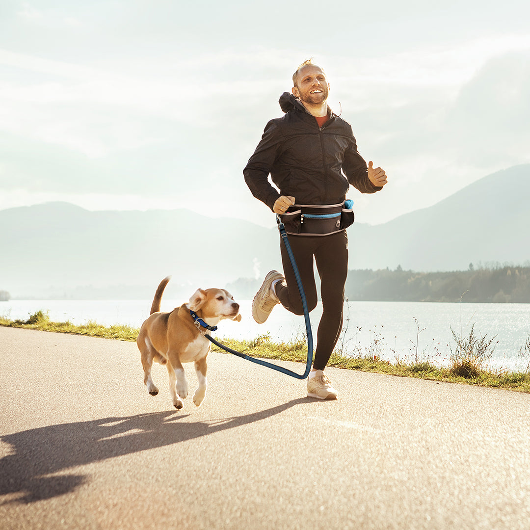 DUVO+ Sportgurt mit verstellbarer Leine / Sports Belt & Line aus Nylon & Neopren | schwarz-blau-türkis
