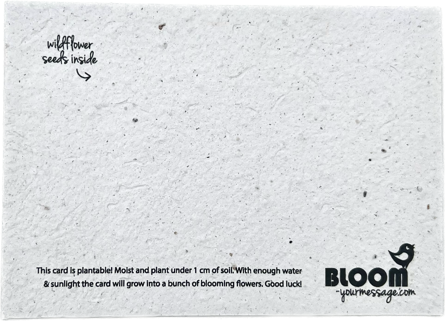 BLOOM YOUR MESSAGE Saatgutkarte für Wildblumen "Let it grow!" mit Schneemann Motiv | 100% recyceltes Material