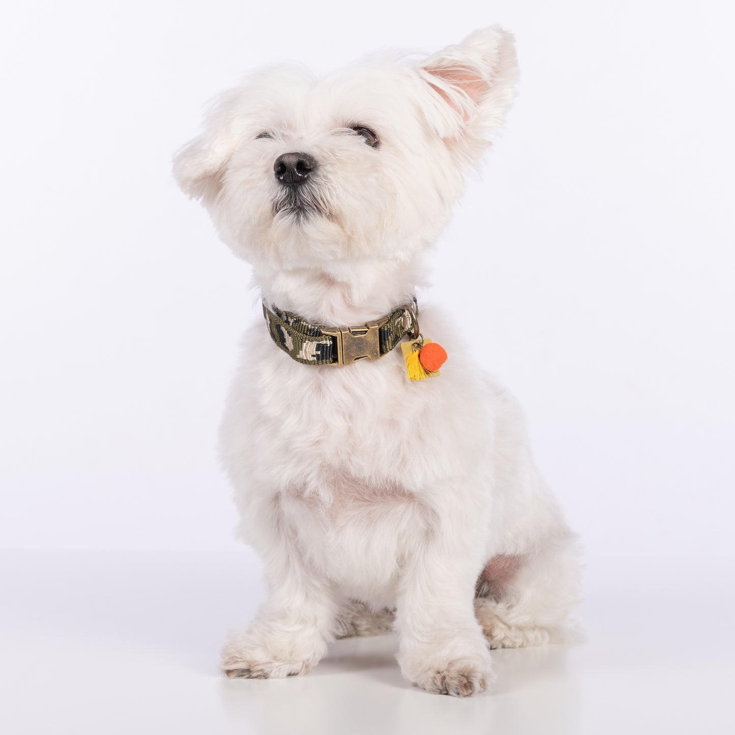 GROC GROC handgefertigtes Hundehalsband LUCKY in Camouflage Design verde | Tarnfleck grün | S oder M