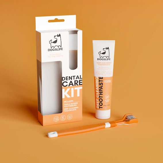 DOGSLIFE Zahnpflegeset mit dreiköpfiger Zahnbürste und 100g natürliche Zahnpasta | Dental Care Kit