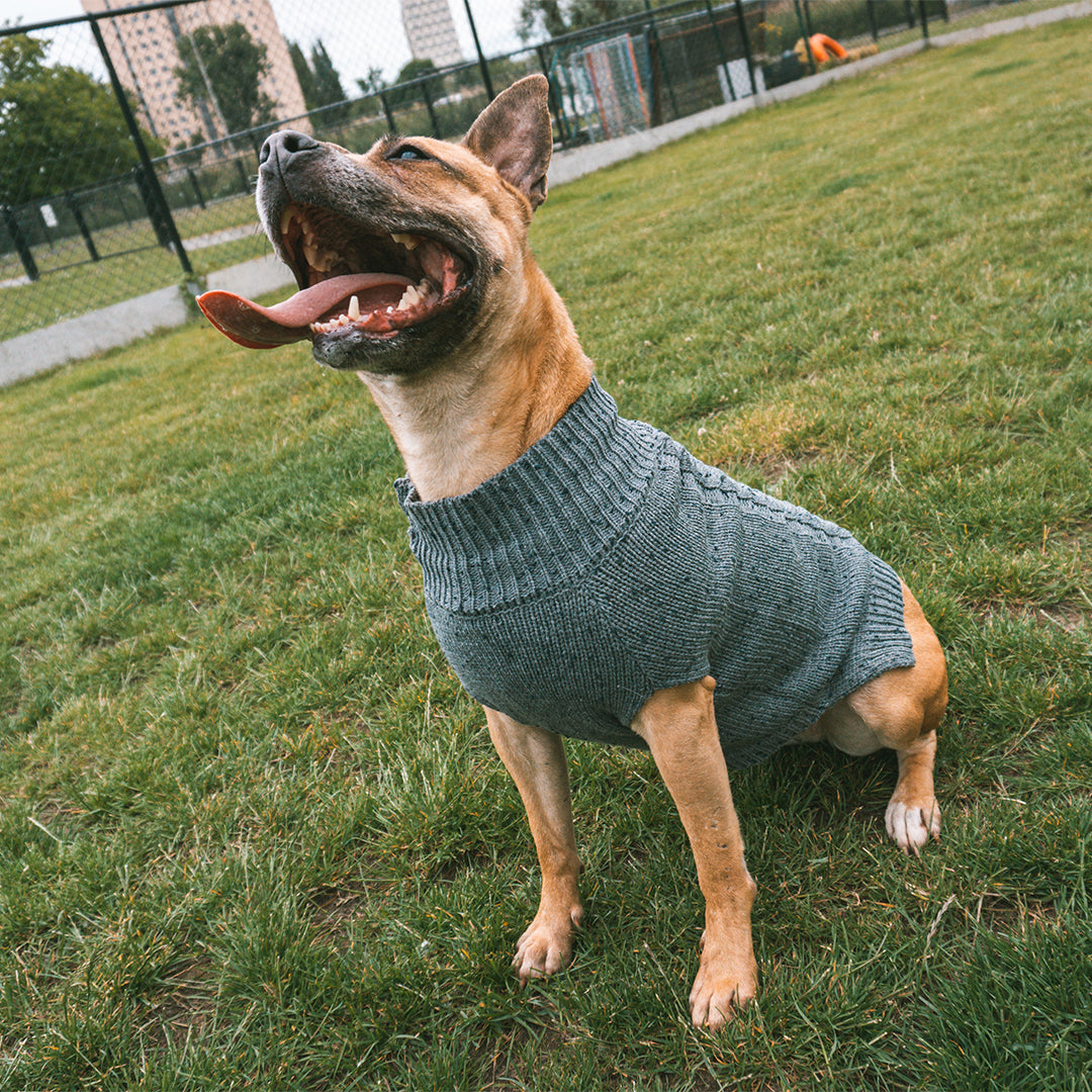 DUVO+ Hundepullover / Dog Sweater COZY aus 100 % Acrylwolle | graues Zopfmuster