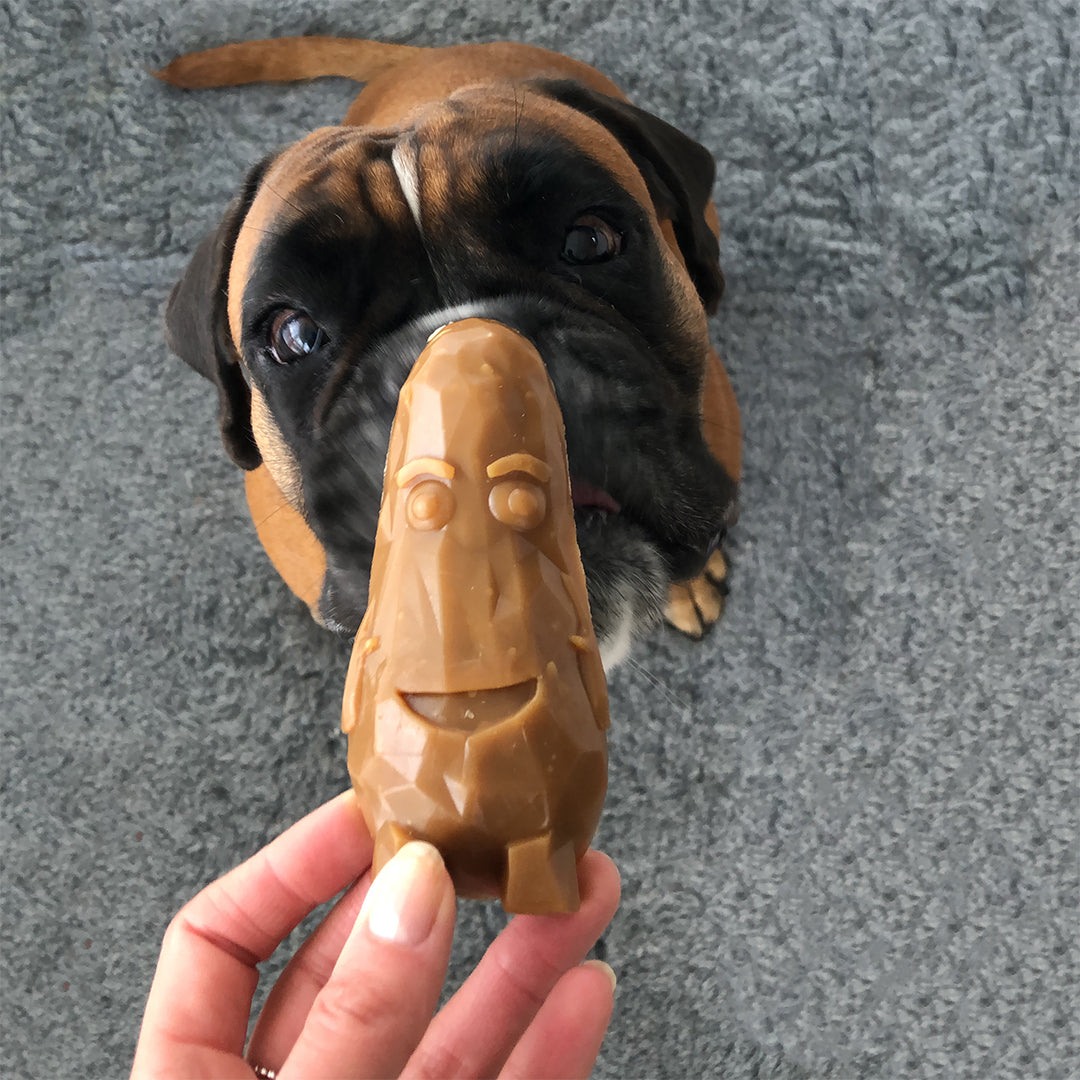 DUVO+ Garden Bites Veggie Friends | Zahnpflege für Hunde im wiederverschließbarem Beutel | vegetarisch & glutenfrei | Größe S oder L | 270g