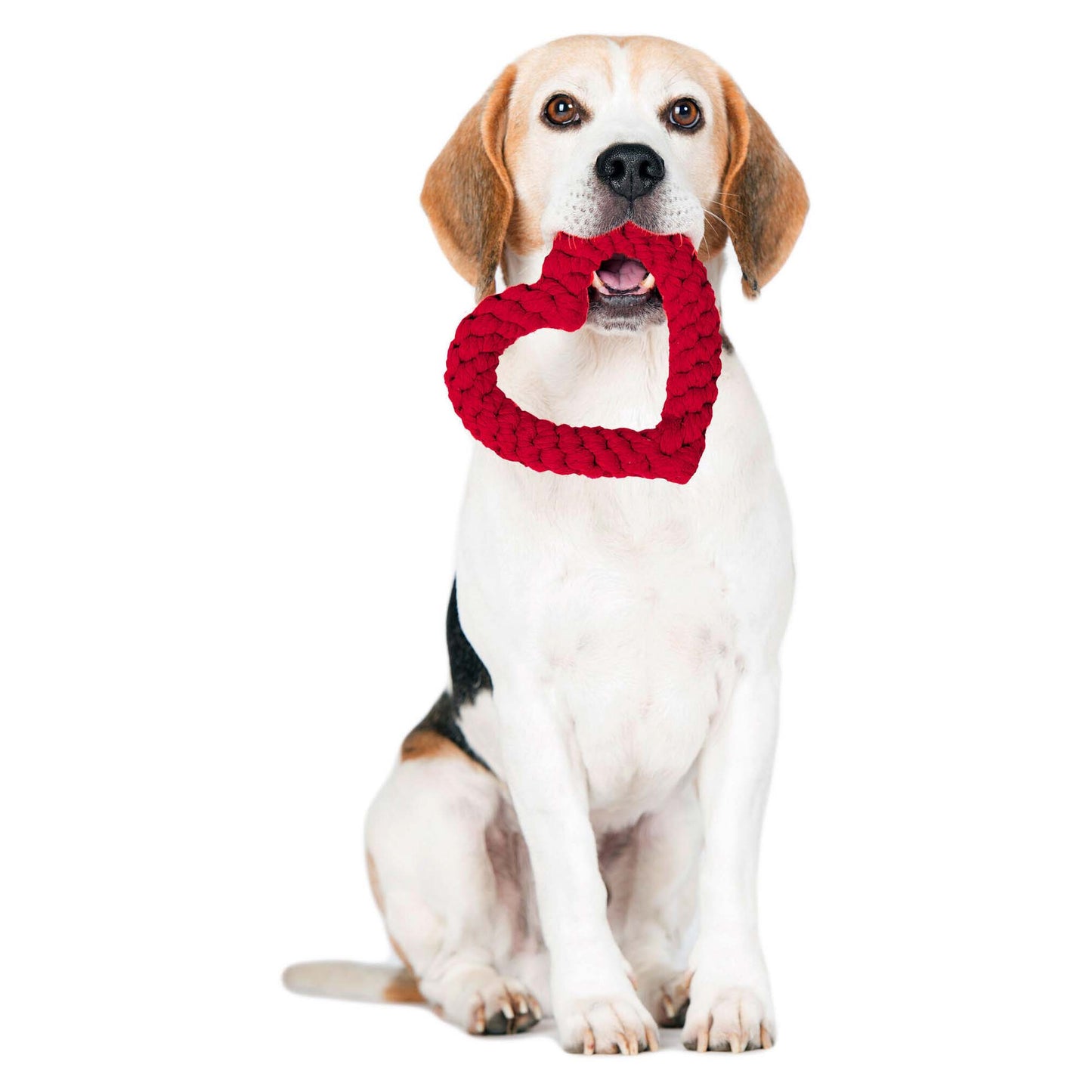 LABONI Hertha Heart - Kult-Spielzeug für Hunde | zahnpflegendes Baumwolltau | 15cm
